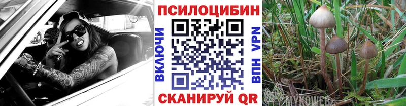 Псилоцибиновые грибы Magic Shrooms  hydra зеркало  Тюкалинск 